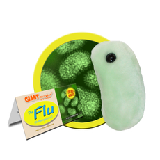 Flu