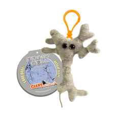 Brain Cell key chain