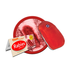 Rabies