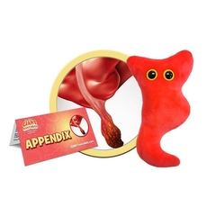 Appendix