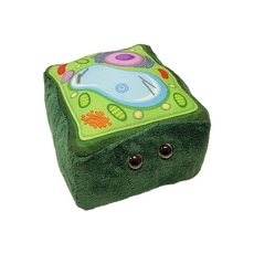 Plant Cell