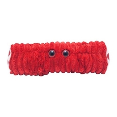 Muscle Cell (extendable)